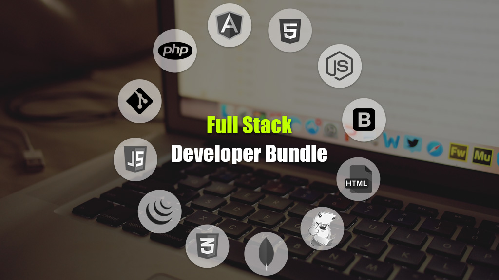 full stack developer چیست